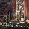 Collie and Santa Claus Throw Pillow Machine Washable, Indoor Outdoor Decorative Pillow for Couch, Bed or Patio, 14Hx14W
