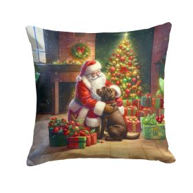 Labrador Retriever and Santa Claus Throw Pillow Machine Washable, Indoor Outdoor Decorative Pillow for Couch, Bed or Patio, 14Hx14W (Default: Default)